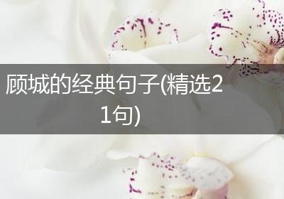 顾城的经典句子(精选21句)