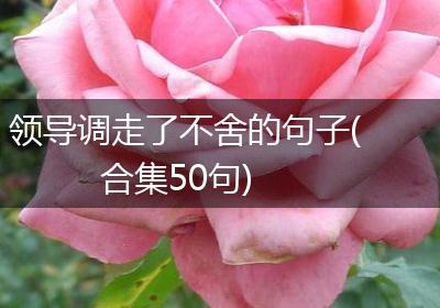 领导调走了不舍的句子(合集50句)