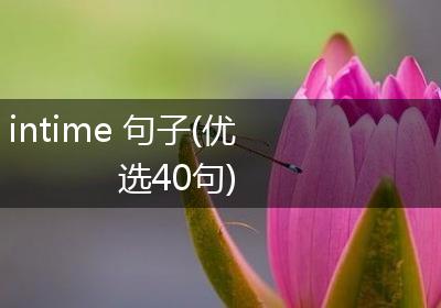 intime 句子(优选40句)