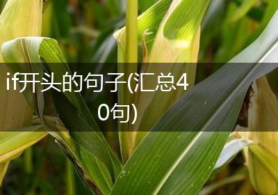 if开头的句子(汇总40句)