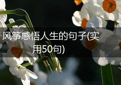 风筝感悟人生的句子(实用50句)