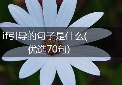 if引导的句子是什么(优选70句)