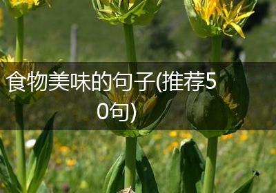 食物美味的句子(推荐50句)