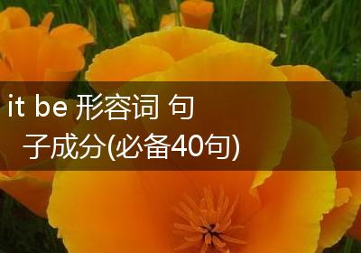it be 形容词 句子成分(必备40句)