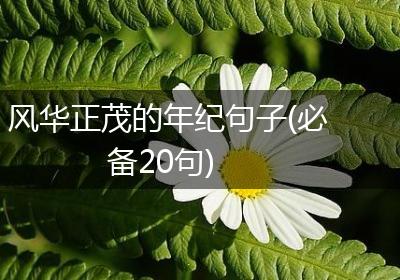 风华正茂的年纪句子(必备20句)