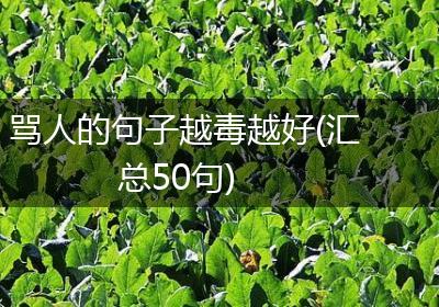 骂人的句子越毒越好(汇总50句)