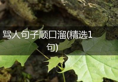 骂人句子顺口溜(精选1句)