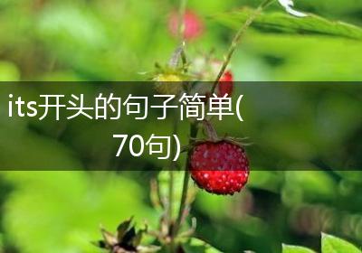 its开头的句子简单(70句)
