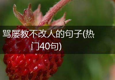 骂屡教不改人的句子(热门40句)