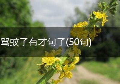 骂蚊子有才句子(50句)