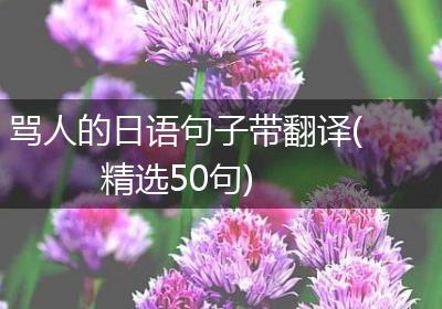 骂人的日语句子带翻译(精选50句)
