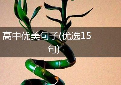 高中优美句子(优选15句)