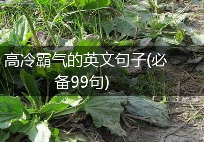 高冷霸气的英文句子(必备99句)