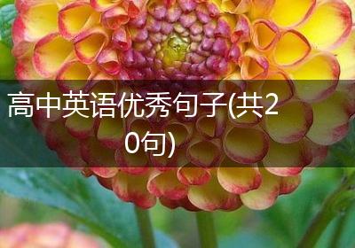 高中英语优秀句子(共20句)