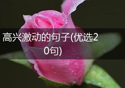 高兴激动的句子(优选20句)