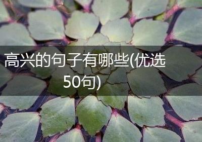 高兴的句子有哪些(优选50句)