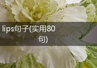 lips句子(实用80句)