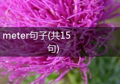 meter句子(共15句)