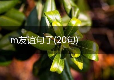 m友谊句子(20句)