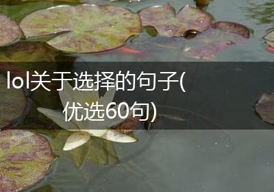 lol关于选择的句子(优选60句)