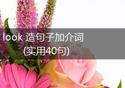look 造句子加介词(实用40句)
