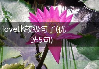 love比较级句子(优选5句)