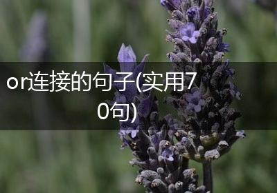or连接的句子(实用70句)