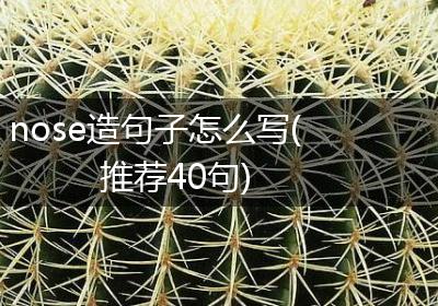 nose造句子怎么写(推荐40句)