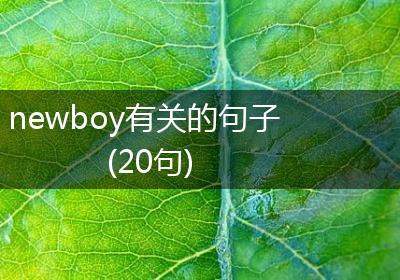 newboy有关的句子(20句)