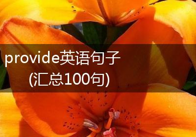 provide英语句子(汇总100句)
