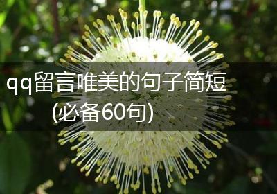 qq留言唯美的句子简短(必备60句)