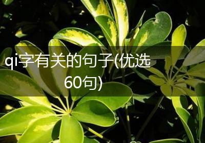 qi字有关的句子(优选60句)
