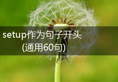 setup作为句子开头(通用60句)