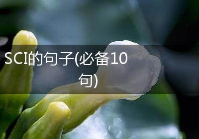 SCI的句子(必备10句)