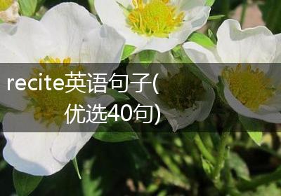 recite英语句子(优选40句)