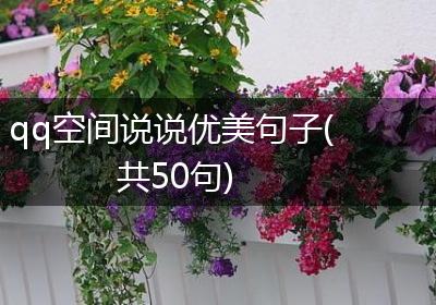 qq空间说说优美句子(共50句)