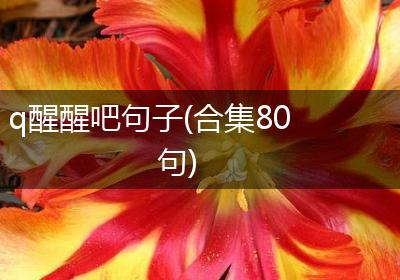 q醒醒吧句子(合集80句)