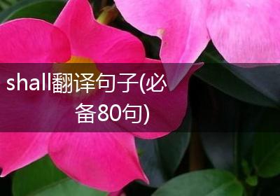 shall翻译句子(必备80句)