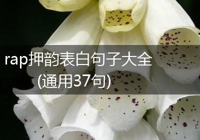 rap押韵表白句子大全(通用37句)