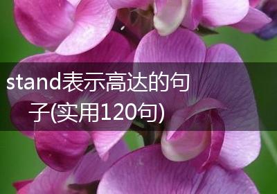 stand表示高达的句子(实用120句)