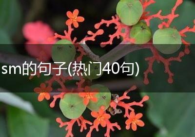 sm的句子(热门40句)