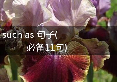 such as 句子(必备11句)