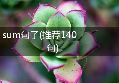 sum句子(推荐140句)