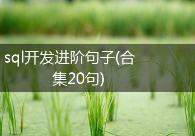 sql开发进阶句子(合集20句)