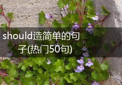 should造简单的句子(热门50句)