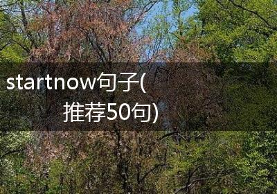 startnow句子(推荐50句)