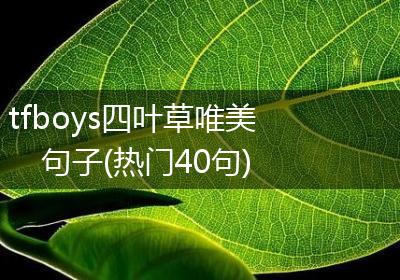 tfboys四叶草唯美句子(热门40句)