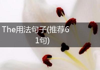 The用法句子(推荐61句)