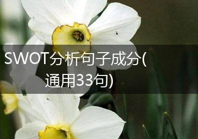 SWOT分析句子成分(通用33句)