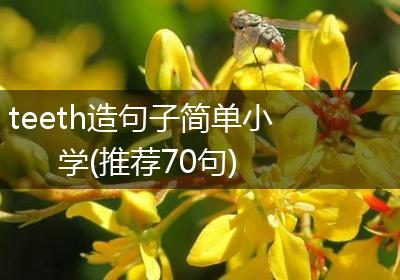 teeth造句子简单小学(推荐70句)